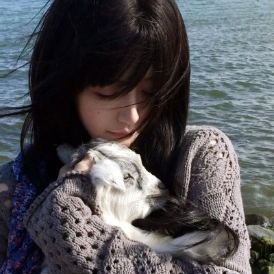 忠狗巴比传 海报