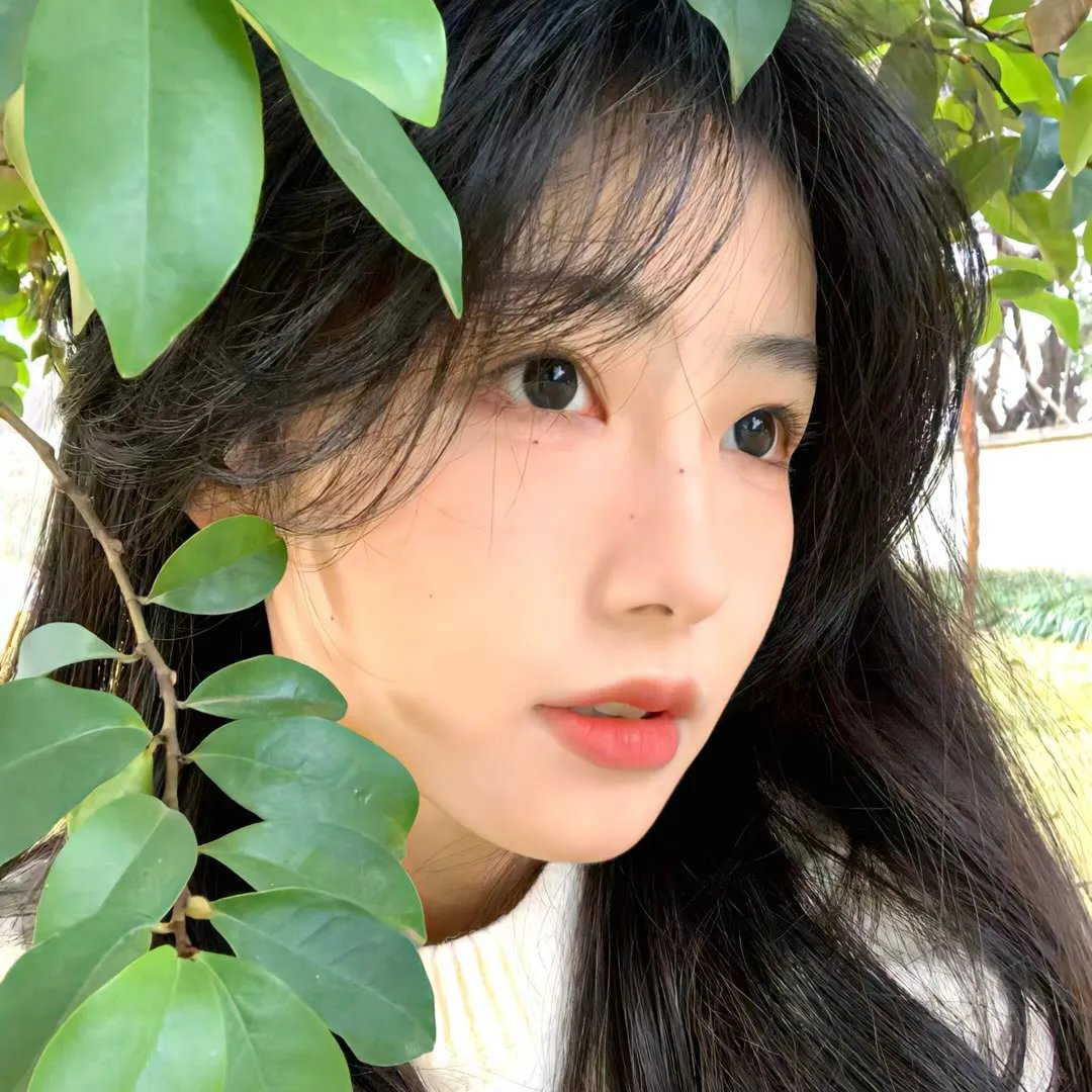 查理的意见 海报